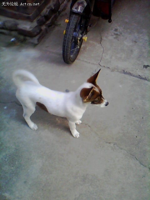 20110712_1806_1.jpg